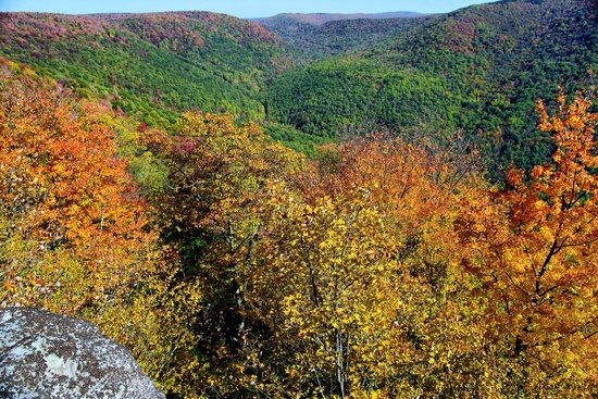 Fall Foliage Changing Mountains