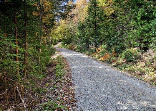Fall Wilderness Road