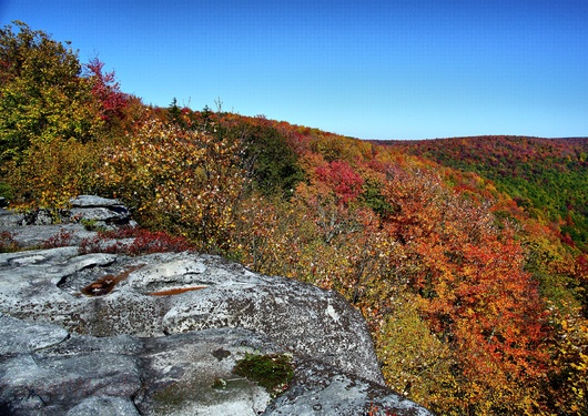 Table Rock WV Autumn Trees