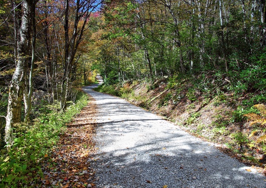 Winding Autumn Country Road