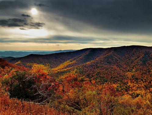 Purple Mountain Majesties