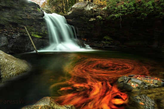 Fiery Autumn Waterfall