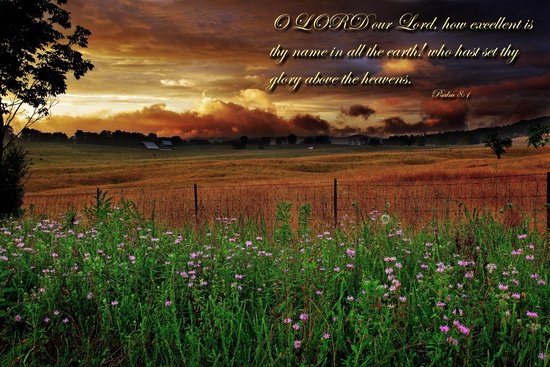 Psalms 8-1