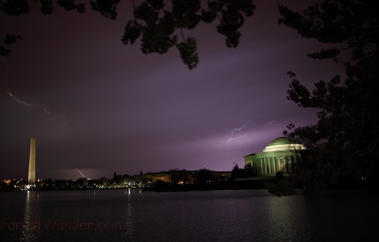 Cherry Blossom Festival Lightning