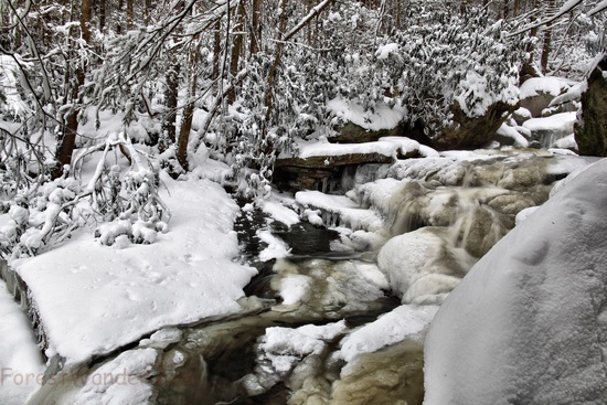 Deep Ravine Winter Waterfall