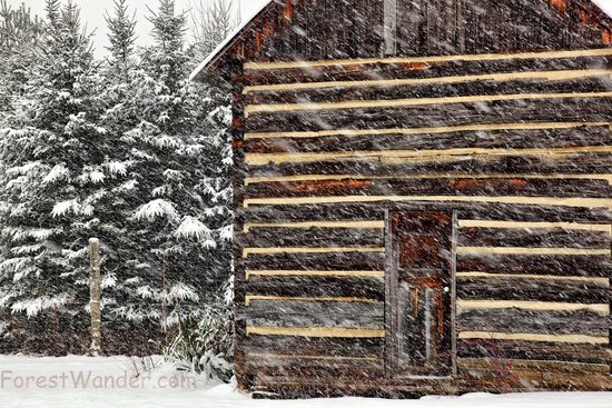 Rustic Country Cabin Snow Storm
