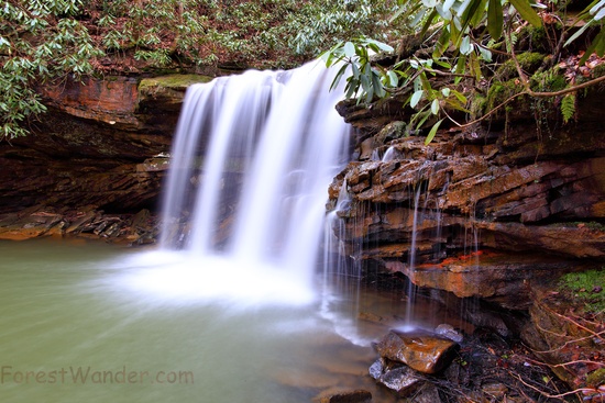 Spring Waterfall Mountain Laurel