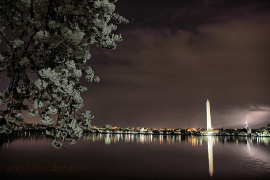 Cherry Blossom Lightning Washington Monument