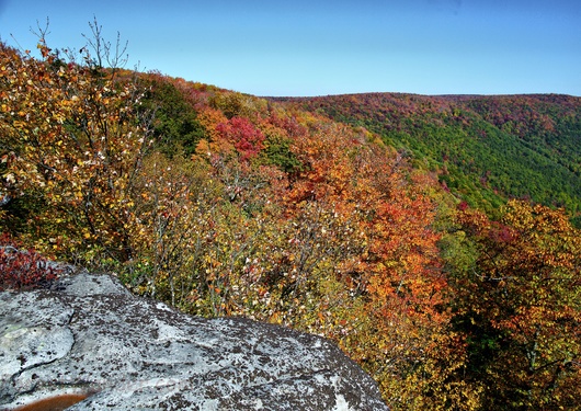 Autumn Color Changing wv Mountains