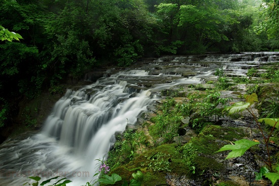 Fallsville Waterfalls