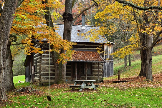Autumn Country Cabin