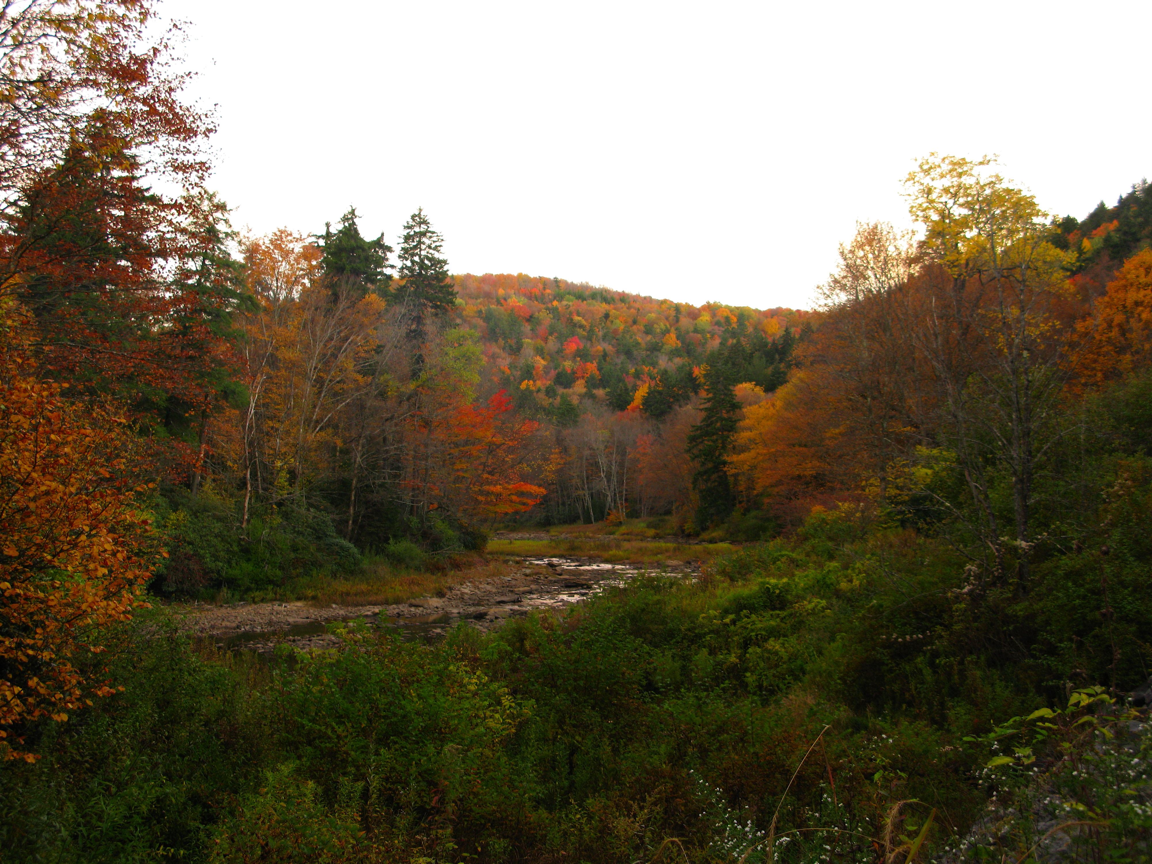 Fall Trees Creek Mountains Creeks And Streams Free Nature Pictures By