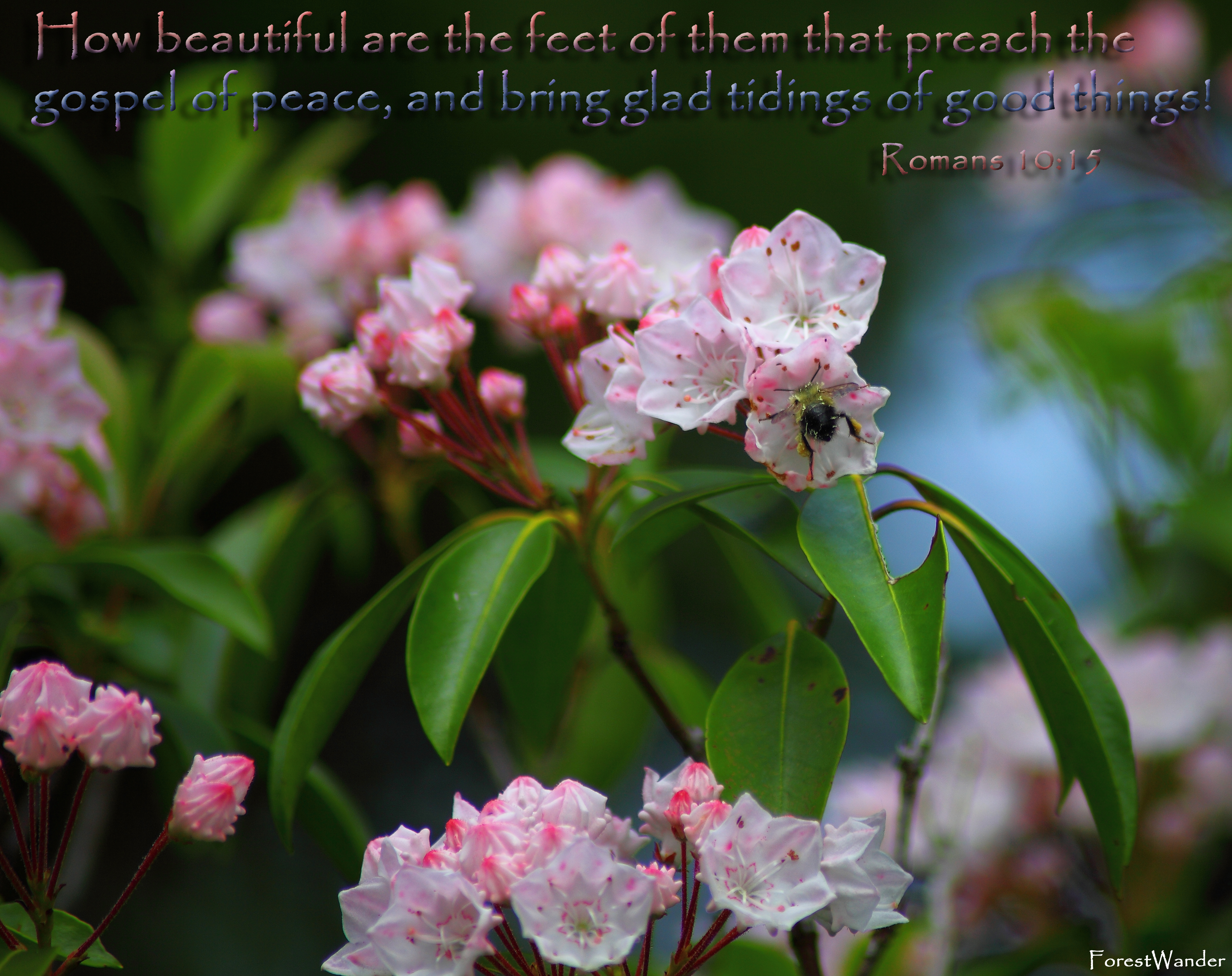Romans 10-15 Beautiful Feet Preach Gospel Peace Bring Glad Tidings Good  Things | Free Christian Poster Pictures Bible Verse Wallpaper Scripture  Art| Free Nature Pictures by ForestWander Nature Photography