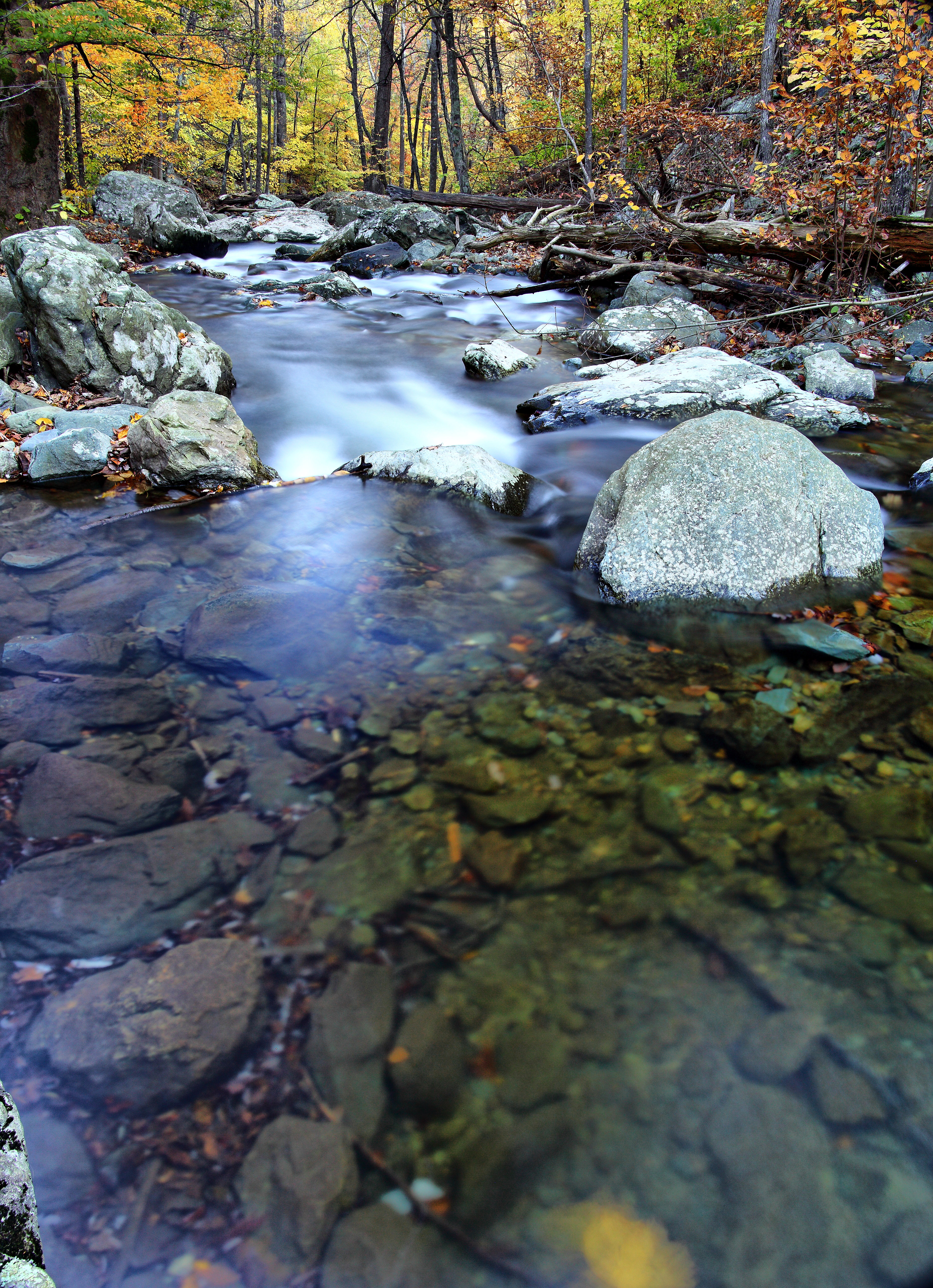 Autumn Forest Stream Flowing Water | Creeks \u0026 Streams| Free Nature ...