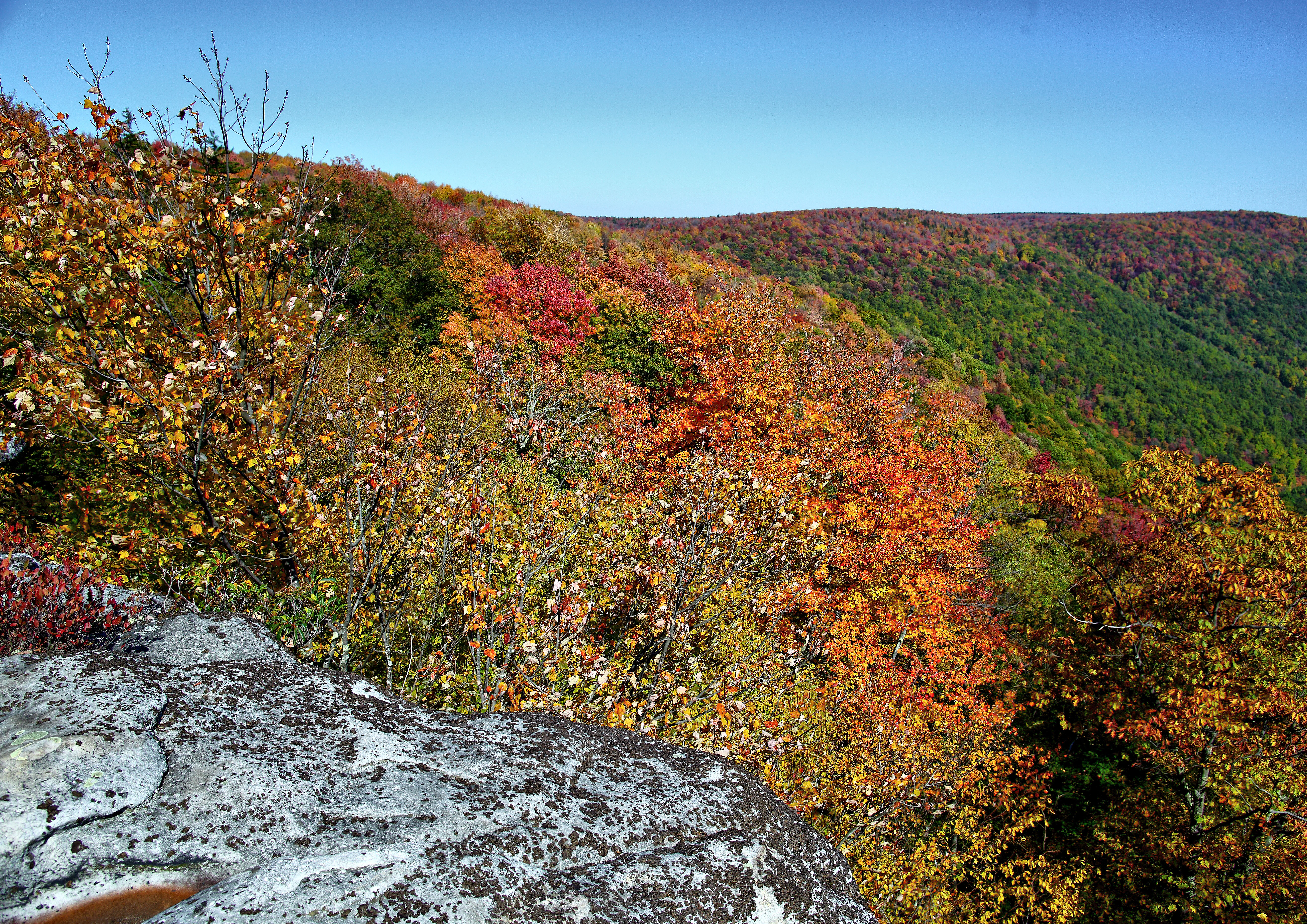 Autumn Color Changing wv Mountains | Mountain Views| Free Nature