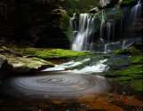 _center_thumbnail_7453.jpg : Elakala Summer Waterfalls Blackwater Lodge