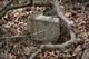 100 year old headstone leaves