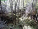 Bear Rocks Trail