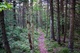 Highland Scenic Trail 1