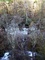 Spring Hills Creek Waterfalls