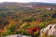 Dolly Sods Fall 1