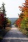 Fall Road Dolly Sods