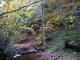 Fall Foliage Hills Creek
