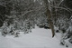 Deep Snow Mountain Trail