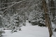 Snow Storm Mountain Trail