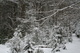 Snowy Mountain Trail