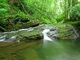 Seneca Creek Rocks Pool