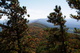 Along The North Fork Mountain Trail