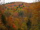 Autumn Colors Mountains