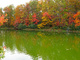 Autumn Lake Reflection