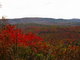 Autumn View Mountains