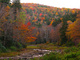 Autumn Trees Creek