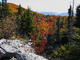 Bear Rock Trees Mountains Fall