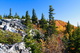 Bear Rock WV Mountain View