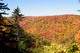 Blackwater Canyon Autumn Trees