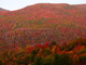 Fall Foliage Mountain Colors