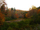 Fall Trees Creek Mountains