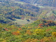 Germany Valley Fall North Fork Mountain