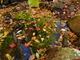 Leaves In The Creek