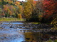 Shavers Fork Stream Fall Foliage