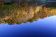 Upsidedown Trees Lake Sky Reflection