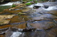 Mill Creek Spring Stream Hawksnest Wv