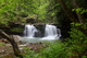 Spring Waterfalls Wv