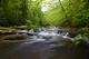 Stream Waterfalls Mill Creek Wv