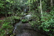 Waterfall Hawks Nest Trail