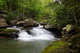 Waterfall West Virginia Forest Spring